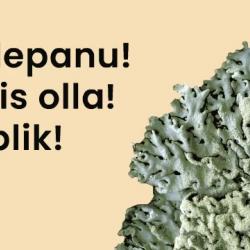 Tähelepanu! Valmis olla! Samblik!