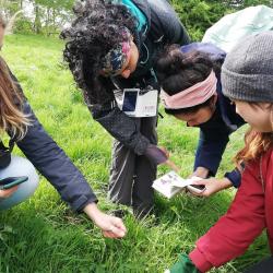 EuroBioBlitz Foto: Matt Postles