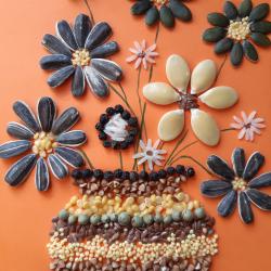 Seemnetest pilt Foto: Margit Hirv