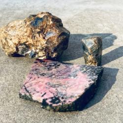 akadeemilise pärandi päev