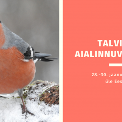 Vasakul pool on foto punase rinna ja kõhuga leevikesest, paremal on punasel taustal tekst.