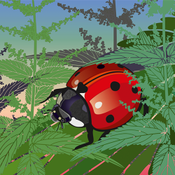 loodusvaatluste maraton