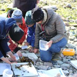 loodusvaatlused käimas