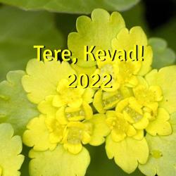 tere kevad 2022
