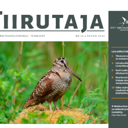 Teabelehe esikaane ülemine osa, päises on tekst Tiirutaja, selle all foto metskurvitsast.