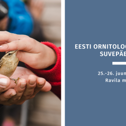 Paremal pool on naise käed, ta hoiab peopesal väikest pruuni lindu, kel on rõngas jalas. Paremal pool on lapse käsi, mis teeb linnule pai.