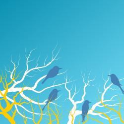 Helesinisel taustal on allservas kujutatud valgeid ja kollaseid raagus puuoksi, millel istub neli sinist värvi lindu.