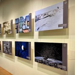  fotokonkursi „Metsik Linn“ võidutööde rändnäitus