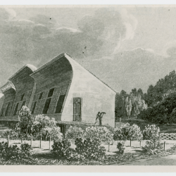 Tartu Ülikooli botaanikaaed Krause kasvuhoone