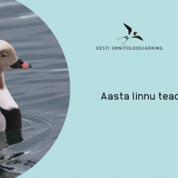 Vasakul pool on foto vees ujuvast aulist, vasakul sinisel taustal tekst ja kaks logo.