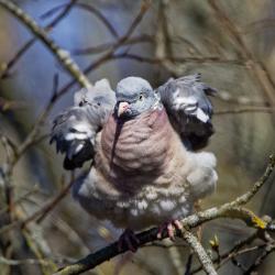 Algajate raskusastme 1. vooru üks küsimustest – kes on pildil?