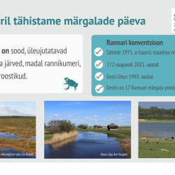 Märgalade päeva plakat 2023