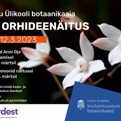 Tartu ülikooli botaanikaaia orhideenäituse plakat