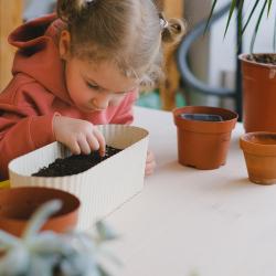 Looduspäev botaanikaaias Foto:Pexels