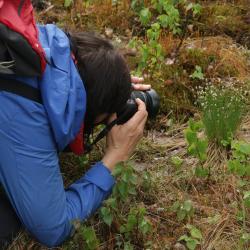 Foto autor Tiina Ploom.