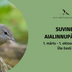 Paremal pool on foto, kus halli ja osaliselt sammaldunud kivi peal seisab hallikas-pruunikas sulestikuga lind. Paremal pool on rohelisel taustal logo ja tekst.