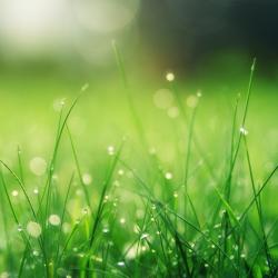 Foto Pexelsist, autor Johannes Plenio.