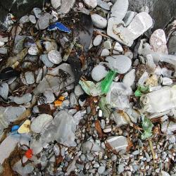 Erinev plastprügi mererannas segamini kiviklibu, vetikate ja taimedega.