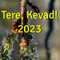 Tere, kevad! 2023