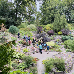 Tartu Ülikooli alpinaarium Foto autor Silvia Luik