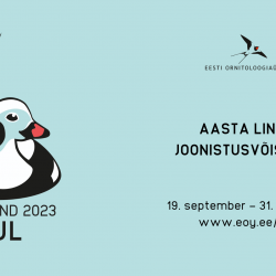 Sinisel taustal on vasakul ujuv otsevaates isane aul, paremal pool tekstid.