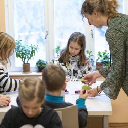 taimepäevad Tallinna Botaanikaaias