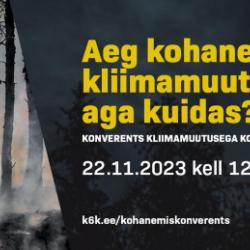 Põlenud musta ja suitseva metsaalusega foto