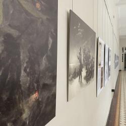 Näitus Tartu Ülikooli loodusmuuseumis. Foto autor Silvia Luik