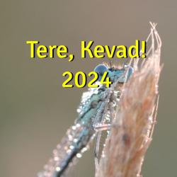 Tere, kevad! 2024