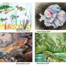 4 laste joonistust kaladest 