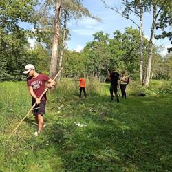 Noored poisid niidavad suvisel puisniidul vikatiga
