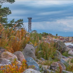 Kivine rand kollakate sügiseste taimedega, sinise taeva taustal linnutorn