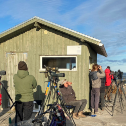 Inimesed vaatlevad meres ääres linde, kasutades binokleid ja vaatlustorusid
