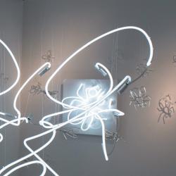 Klaasikunstnik Birgit Pählapuu näitus „Kärbeste Mäss“ Tartu Ülikooli botaanikaaias