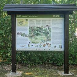 Joonistatud elurikas suvine puisniit rohkete rohttaimede ja mõnede puudega, lisaks rähn, sisalik, samblik, kollaste õitega kuldking suuremalt välja toodud