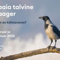 Loomaaia talvise linnalaagri kuulutus