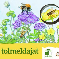 tunne tolmeldajat