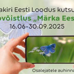 Videovõistlus