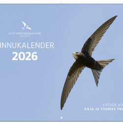 Linnukalendri 2026 esikaane pilt, kus on sinise taeva taustal lendav pruuni värvi piirirtaja ning valge värviga tekstid