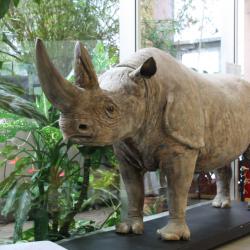 Murray Tartu loodusmaja