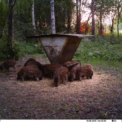 Foto: www.loodusfoto.eu