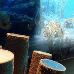 16229668_10211077270144019_1945747384_o-m