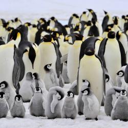 16487691_1432856433405432_4481597506281589389_o