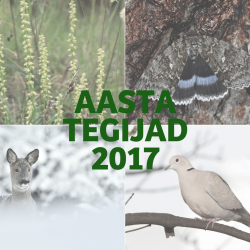 AASTA TEGIJAD 2017