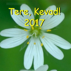 tere kevad