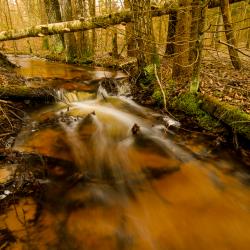 16502372914_5bded2f91f_o