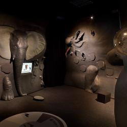 1123_896_s_g___ve65a