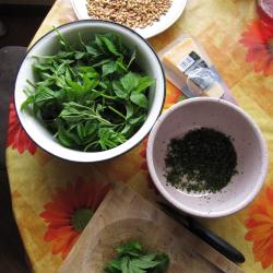 17776605_10208894188094821_1859194634_o