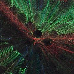 csm_Loodus_Majas_39a554562a