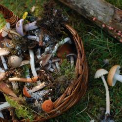 Karin_P (16_9) seeneretk